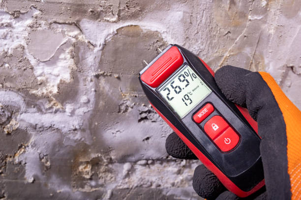 Best Mold Removal Company Near Me  in Madisonville, TX