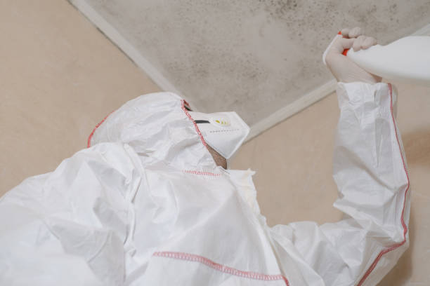 Best Fast Mold Removal  in Madisonville, TX